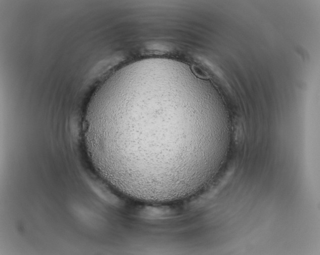 X0000115210455200911121908