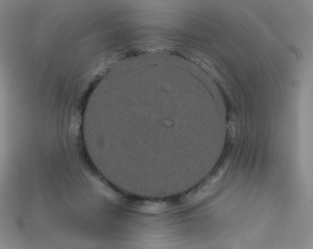 X0000115210458200911121908