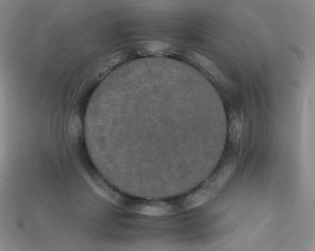 X0000115210459200911121908