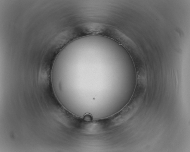 X0000115210460200911121908