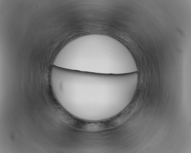 X0000115210461200911121908
