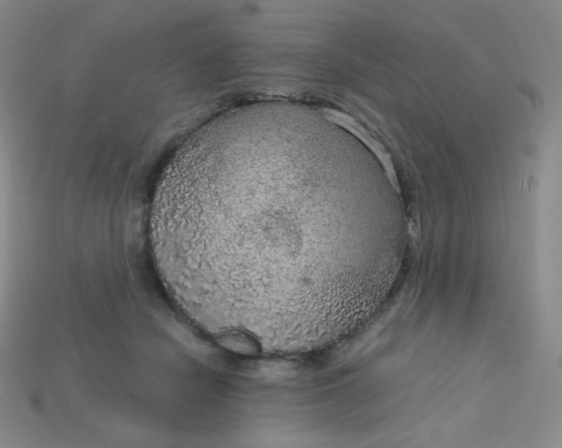 X0000115210462200911121908