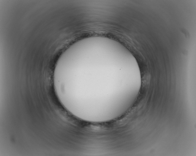 X0000115210464200911121908