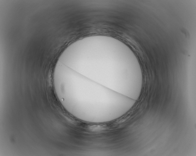 X0000115210465200911121908