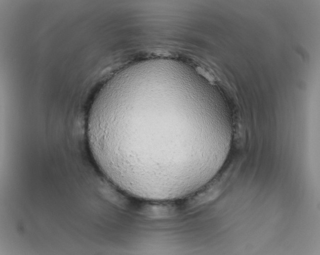 X0000115210466200911121908