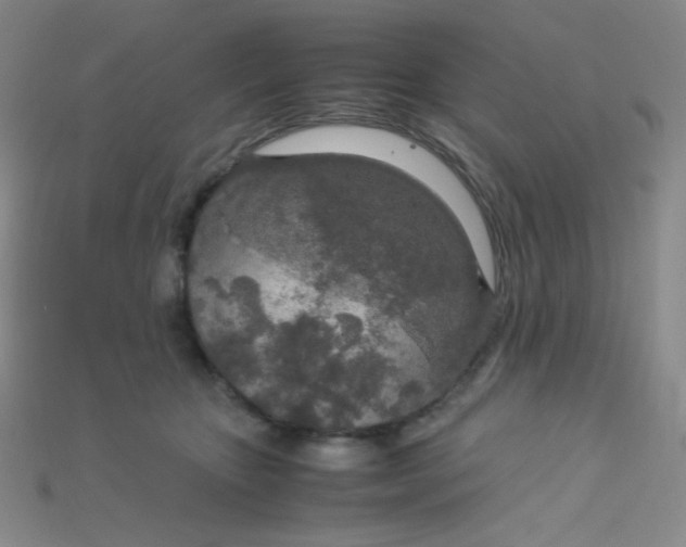 X0000115210467200911121908