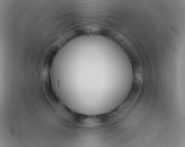 X0000115210468200911121908