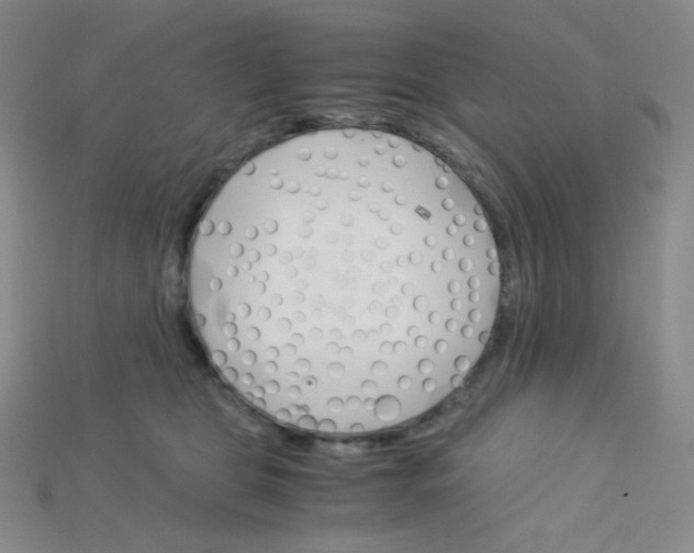 X0000115210469200911121908