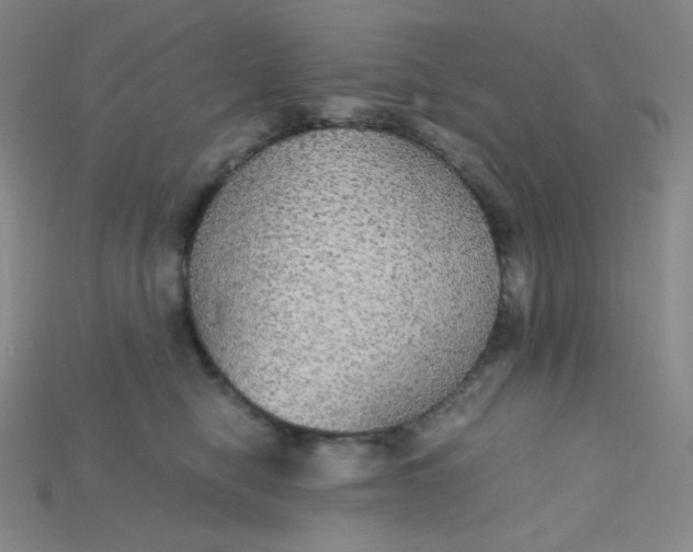 X0000115210470200911121908