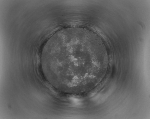 X0000115210471200911121908
