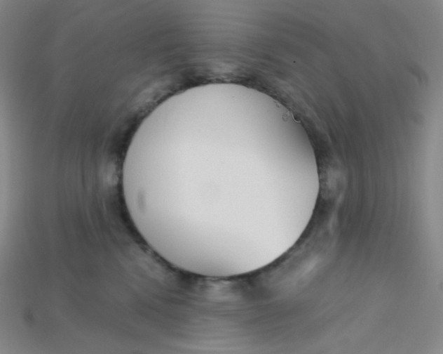 X0000115210472200911121908