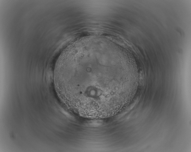 X0000115210474200911121908