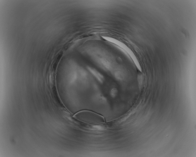 X0000115210475200911121908