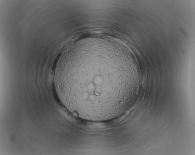 X0000115210476200911121908