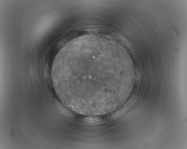 X0000115210477200911121908