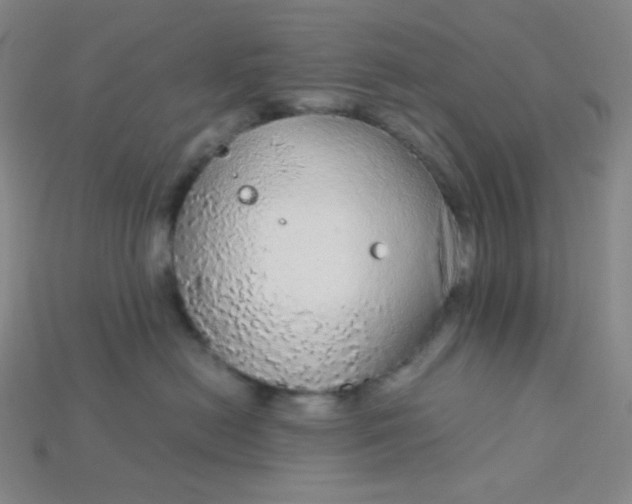 X0000115210478200911121908