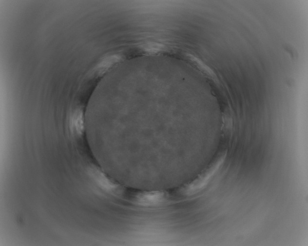 X0000115210479200911121908