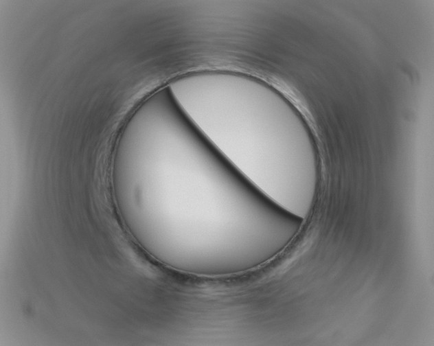 X0000115210481200911121907