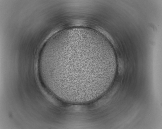 X0000115210482200911121907