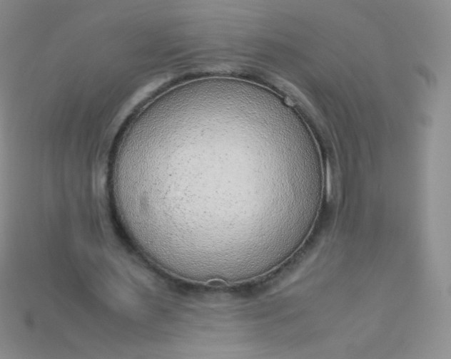 X0000115210483200911121907