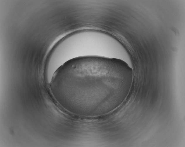 X0000115210484200911121907