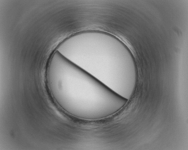 X0000115210485200911121907