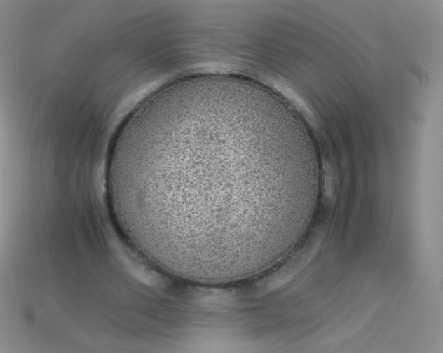 X0000115210486200911121907