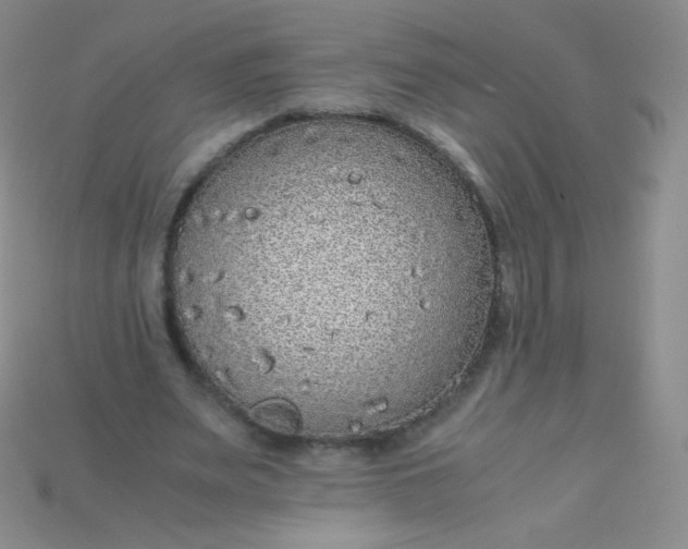 X0000115210487200911121907