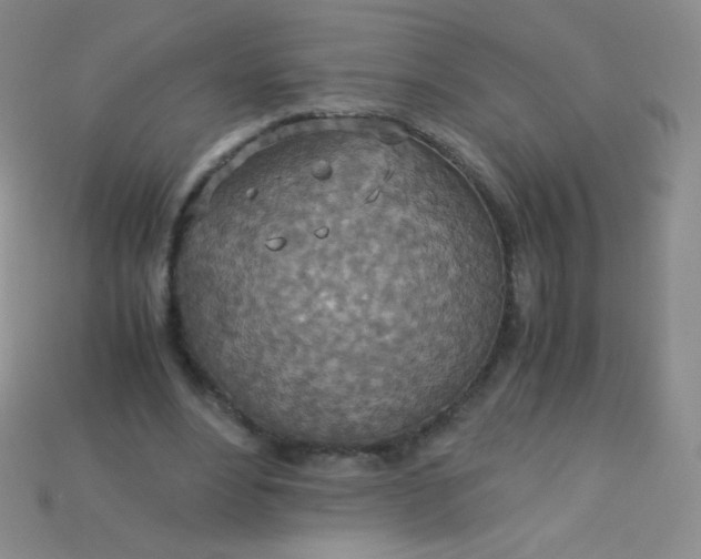 X0000115210488200911121907