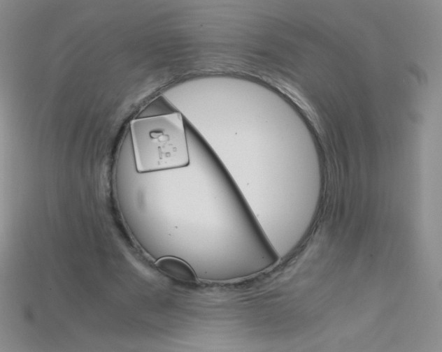 X0000115210489200911121907
