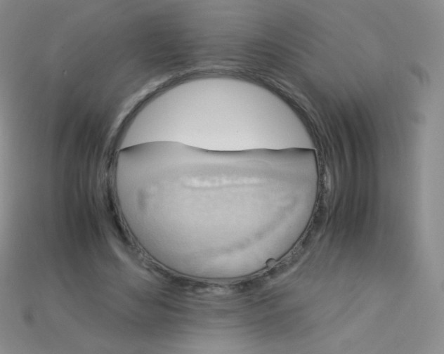 X0000115210492200911121907