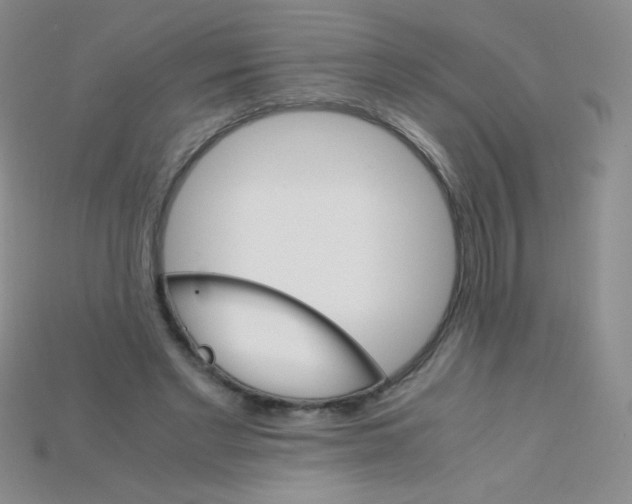 X0000115210493200911121907