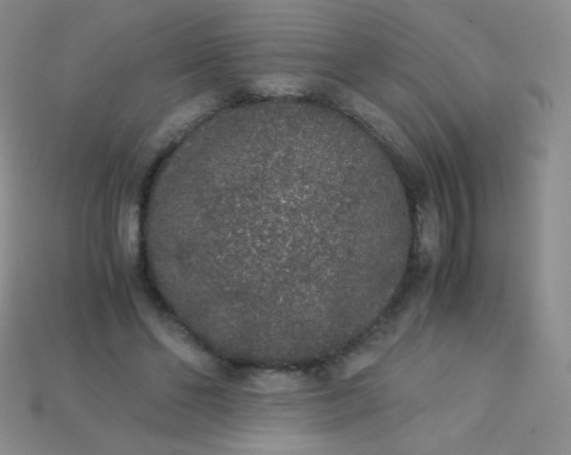 X0000115210494200911121907