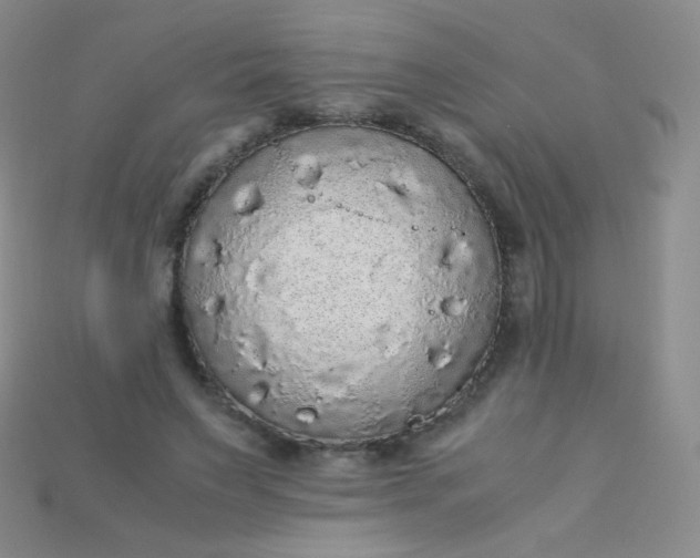 X0000115210495200911121907
