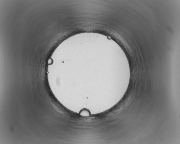X0000115210497200911121907