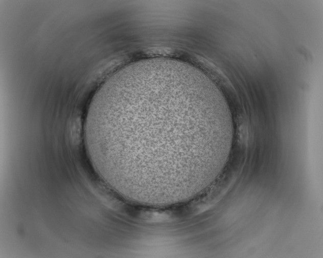 X0000115210498200911121907