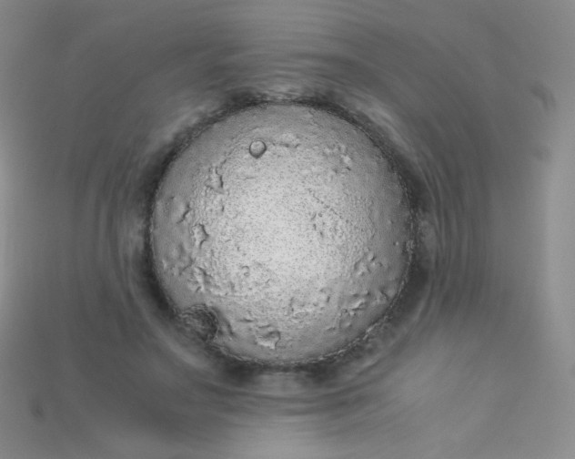 X0000115210499200911121907