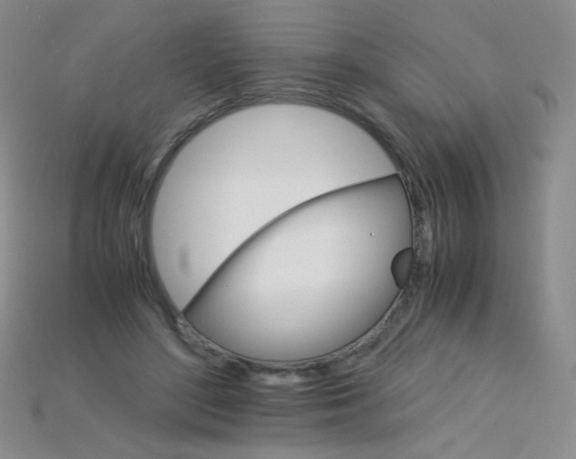 X0000115210500200911121907