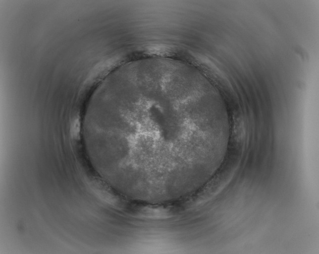 X0000115210502200911121907