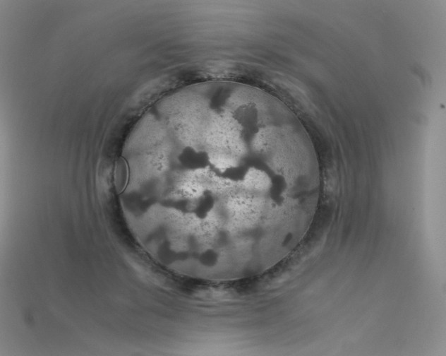 X0000115210503200911121907