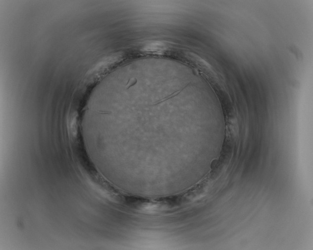 X0000115210504200911121907