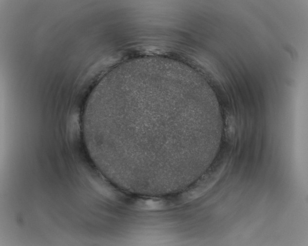 X0000115210506200911121907