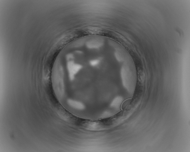 X0000115210507200911121907