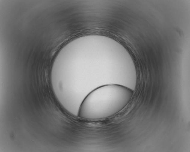 X0000115210508200911121907