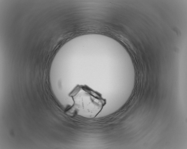 X0000115210509200911121907