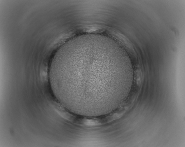 X0000115210510200911121907