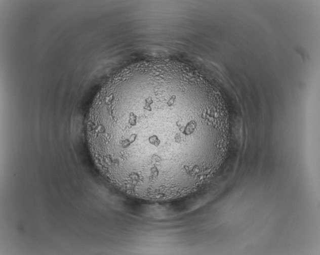 X0000115210511200911121907