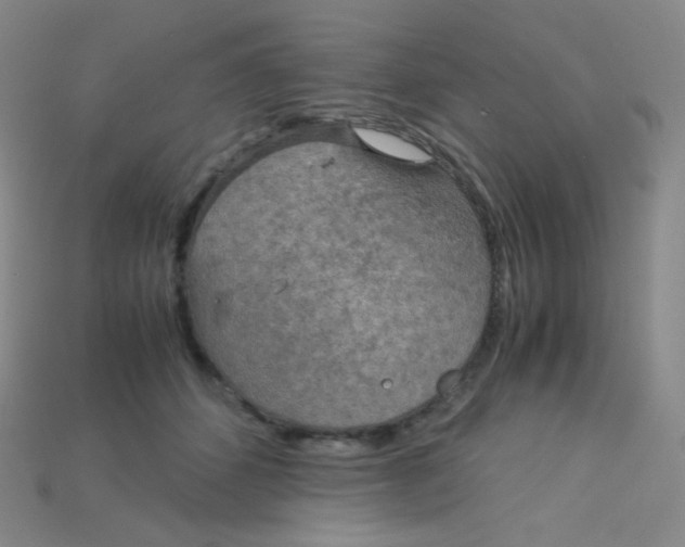 X0000115210512200911121907