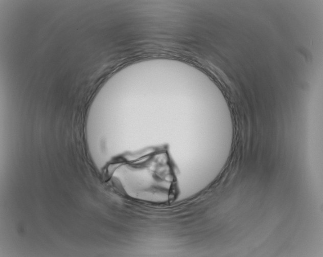 X0000115210513200911121907