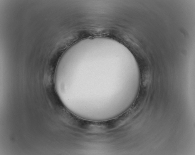 X0000115210515200911121907
